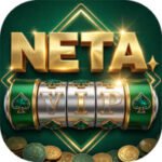 NETA VIP LOGO