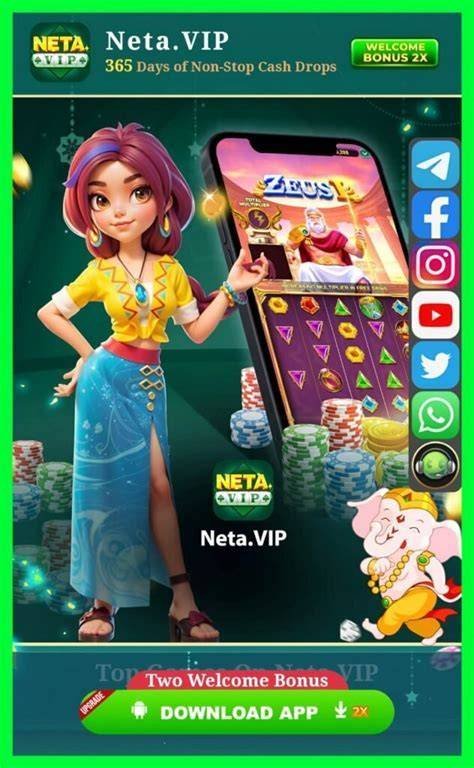 NETA VIP GAME